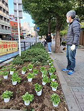 緑化活動の様子